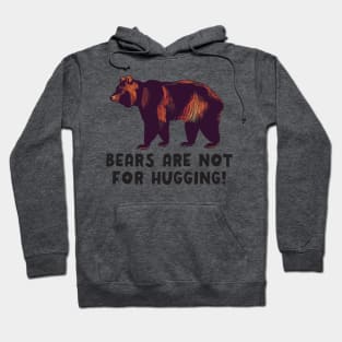 Bears Are Not For Hugging Hoodie